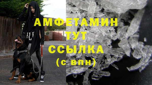мяу мяу кристалл Корсаков