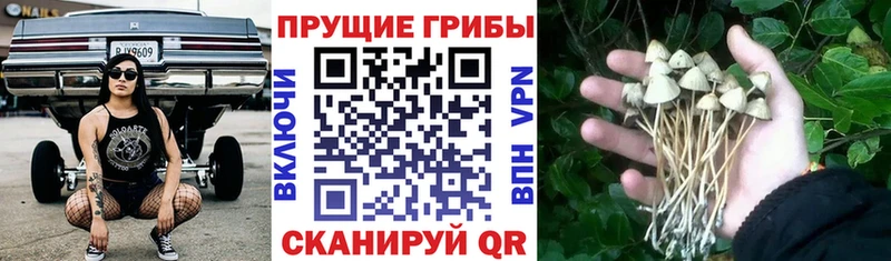 МЕГА ССЫЛКА  Комсомольск  Псилоцибиновые грибы прущие грибы 